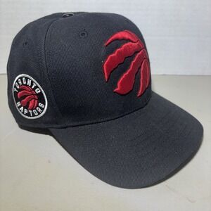 Toronto Raptors Logo Snapback Hat Pro Standard